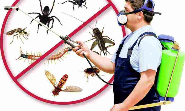 أرخص شركة مكافحة حشرات بالرياض